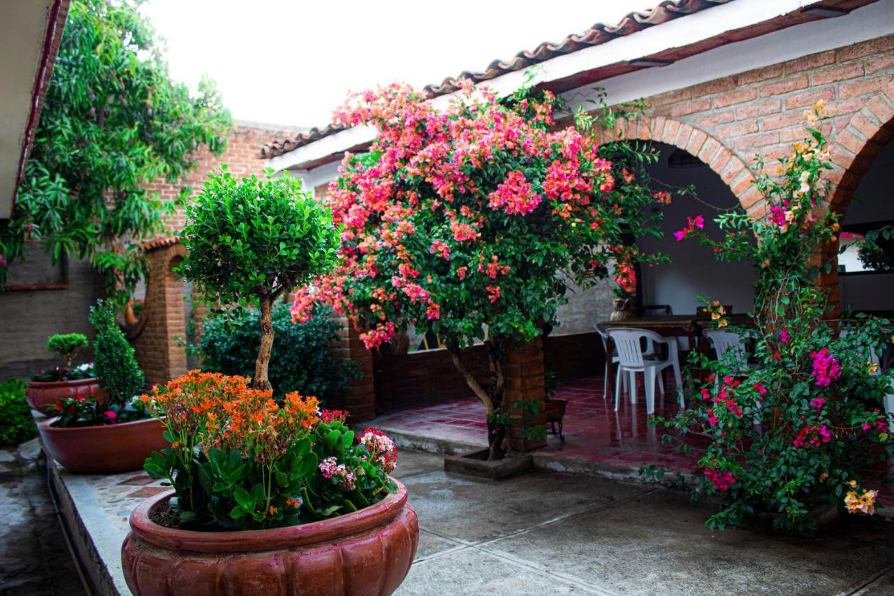 Villa Flores, Casa En El Centro De Mascota Dış mekan fotoğraf
