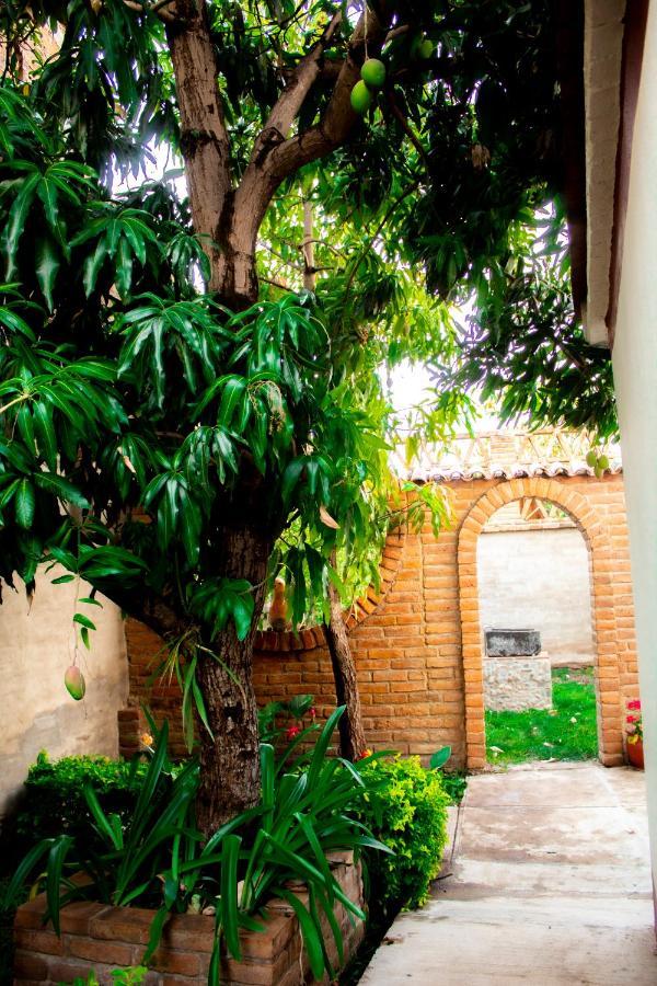 Villa Flores, Casa En El Centro De Mascota Dış mekan fotoğraf